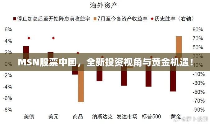 MSN股票中國，全新投資視角與黃金機(jī)遇！