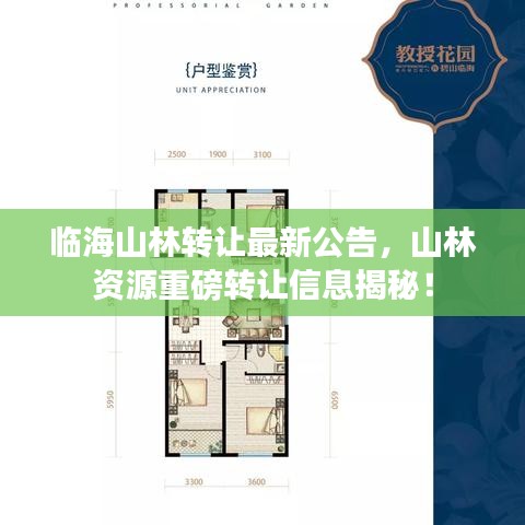 臨海山林轉讓最新公告，山林資源重磅轉讓信息揭秘！