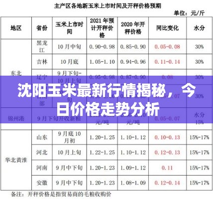 沈陽玉米最新行情揭秘，今日價格走勢分析