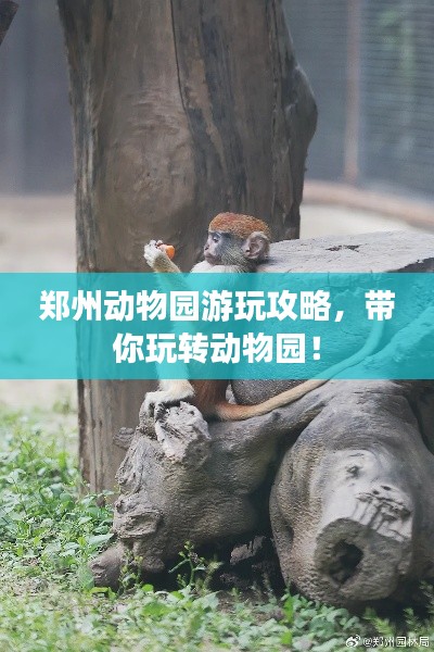 鄭州動物園游玩攻略，帶你玩轉動物園！