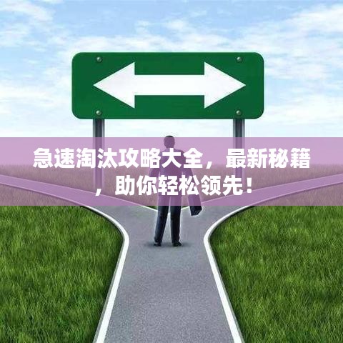 急速淘汰攻略大全，最新秘籍，助你輕松領(lǐng)先！