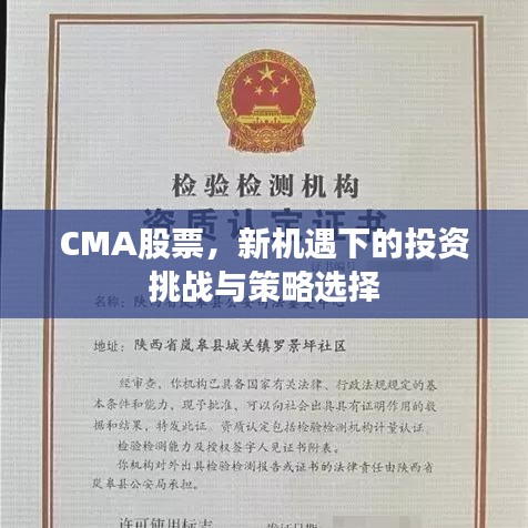 CMA股票，新機(jī)遇下的投資挑戰(zhàn)與策略選擇