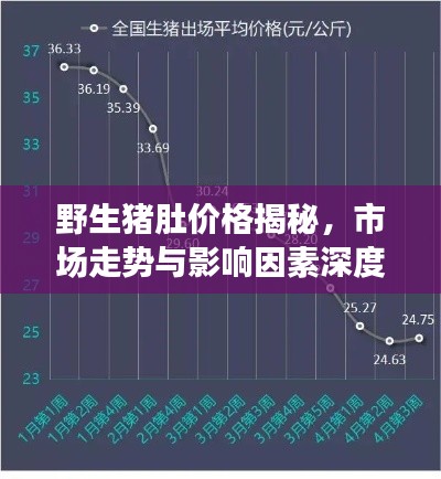 野生豬肚價格揭秘，市場走勢與影響因素深度解析