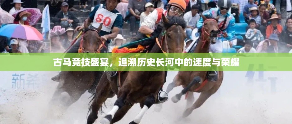 古馬競技盛宴，追溯歷史長河中的速度與榮耀