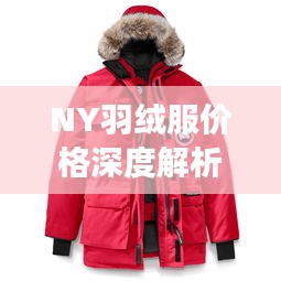 NY羽絨服價(jià)格深度解析，了解真實(shí)價(jià)格，選購更明智！