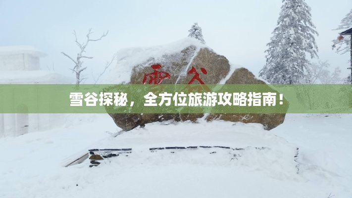 雪谷探秘，全方位旅游攻略指南！