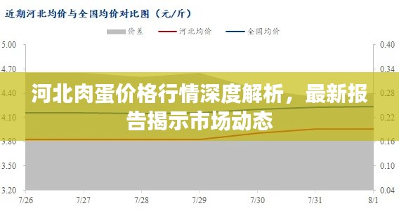 河北肉蛋價格行情深度解析，最新報告揭示市場動態(tài)