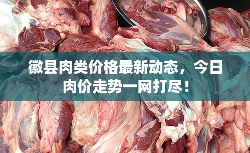 徽縣肉類價(jià)格最新動(dòng)態(tài)，今日肉價(jià)走勢(shì)一網(wǎng)打盡！