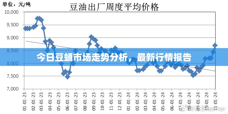 今日豆蛹市場走勢分析，最新行情報告