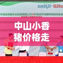 中山小香豬價格走勢大揭秘，最新行情分析！