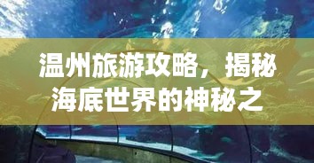 溫州旅游攻略，揭秘海底世界的神秘之旅