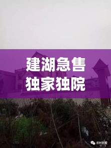 建湖急售獨家獨院，建湖哪里有30到40萬的房子 