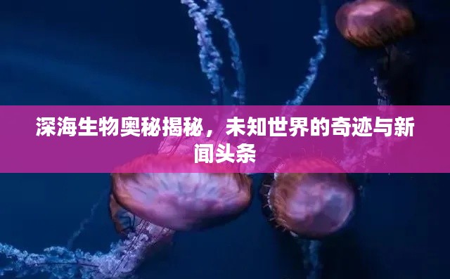 深海生物奧秘揭秘，未知世界的奇跡與新聞頭條