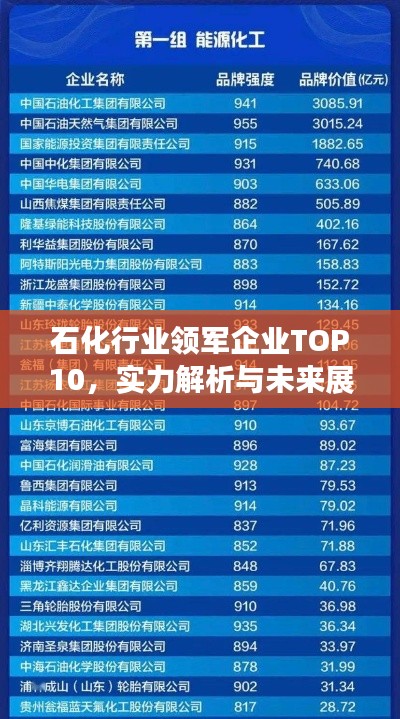 石化行業(yè)領(lǐng)軍企業(yè)TOP10，實力解析與未來展望