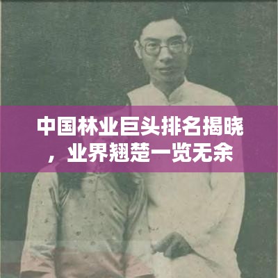 中國林業(yè)巨頭排名揭曉，業(yè)界翹楚一覽無余