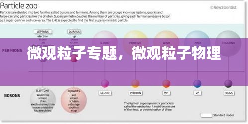 微觀粒子專題，微觀粒子物理 