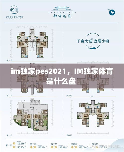 im獨家pes2021，IM獨家體育是什么盤 