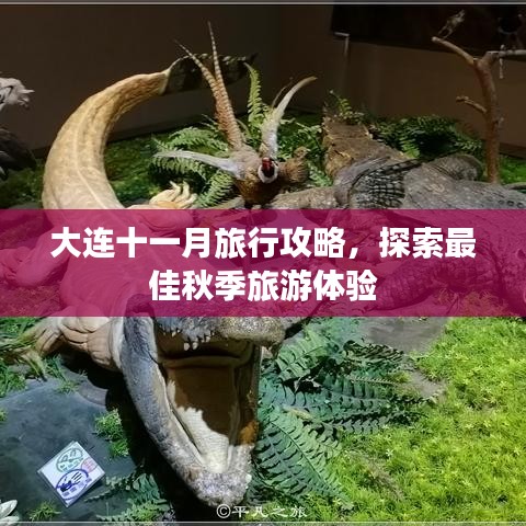 大連十一月旅行攻略，探索最佳秋季旅游體驗