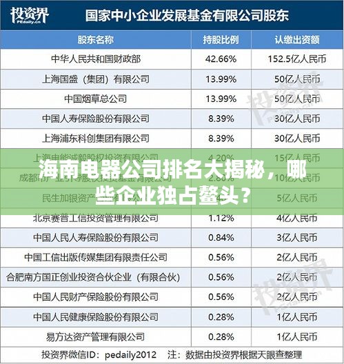 海南電器公司排名大揭秘，哪些企業(yè)獨(dú)占鰲頭？