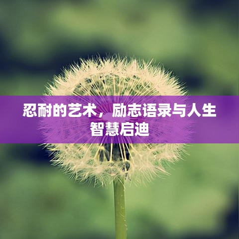 忍耐的藝術，勵志語錄與人生智慧啟迪