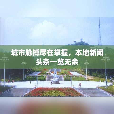 城市脈搏盡在掌握，本地新聞頭條一覽無余