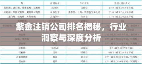 紫金注銷公司排名揭秘，行業(yè)洞察與深度分析