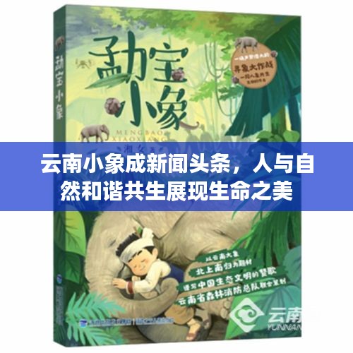 云南小象成新聞?lì)^條，人與自然和諧共生展現(xiàn)生命之美