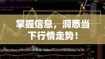 掌握信息，洞悉當下行情走勢！