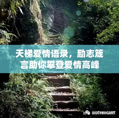 天梯愛(ài)情語(yǔ)錄，勵(lì)志箴言助你攀登愛(ài)情高峰