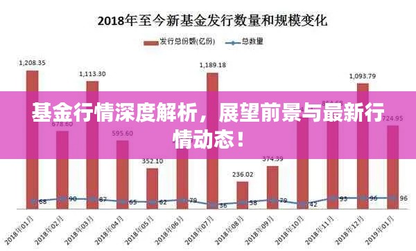 基金行情深度解析，展望前景與最新行情動態(tài)！