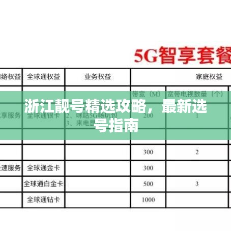 浙江靚號精選攻略，最新選號指南