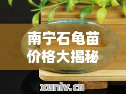 南寧石龜苗價格大揭秘，最新行情分析！