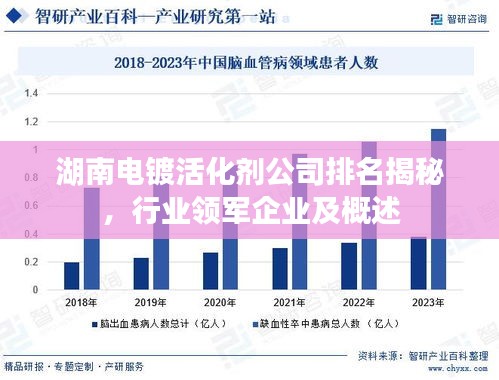 湖南電鍍活化劑公司排名揭秘，行業(yè)領(lǐng)軍企業(yè)及概述