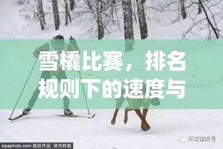 雪橇比賽，排名規(guī)則下的速度與激情角逐