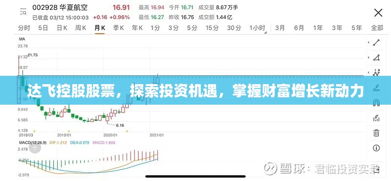 達(dá)飛控股股票，探索投資機(jī)遇，掌握財(cái)富增長(zhǎng)新動(dòng)力