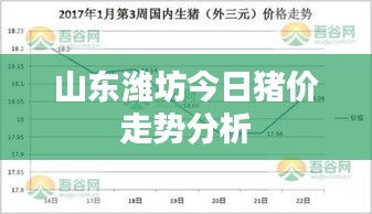 山東濰坊今日豬價走勢分析