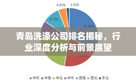 青島洗滌公司排名揭秘，行業(yè)深度分析與前景展望