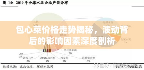 包心菜價(jià)格走勢(shì)揭秘，波動(dòng)背后的影響因素深度剖析