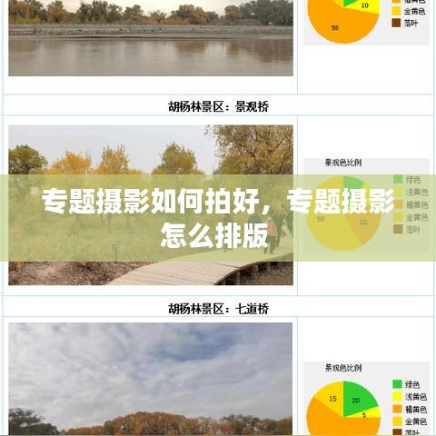 專題攝影如何拍好，專題攝影怎么排版 