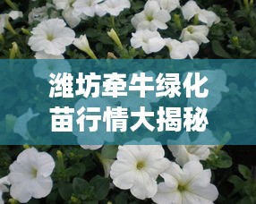 濰坊牽牛綠化苗行情大揭秘，最新價(jià)格分析與趨勢預(yù)測