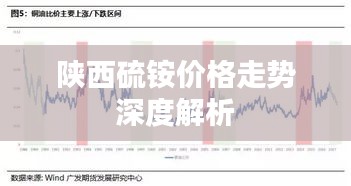 陜西硫銨價(jià)格走勢(shì)深度解析