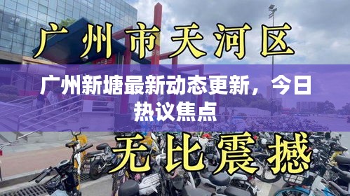 廣州新塘最新動態(tài)更新，今日熱議焦點