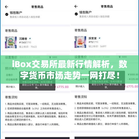 iBox交易所最新行情解析，數(shù)字貨幣市場(chǎng)走勢(shì)一網(wǎng)打盡！