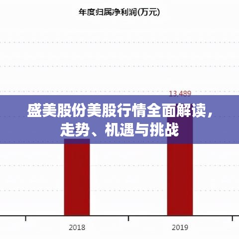 盛美股份美股行情全面解讀，走勢、機遇與挑戰(zhàn)