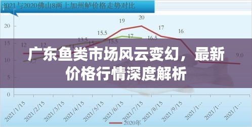 廣東魚類市場風(fēng)云變幻，最新價格行情深度解析