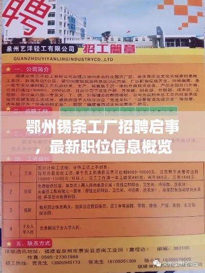 鄂州錫條工廠招聘啟事，最新職位信息概覽