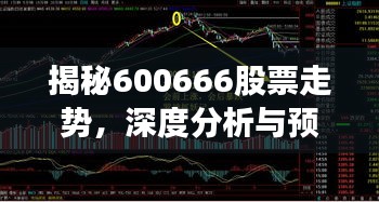 揭秘600666股票走勢，深度分析與預測