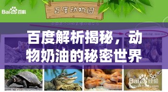 百度解析揭秘，動(dòng)物奶油的秘密世界！