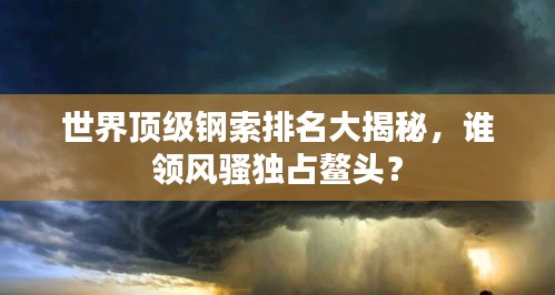 世界頂級鋼索排名大揭秘，誰領(lǐng)風騷獨占鰲頭？