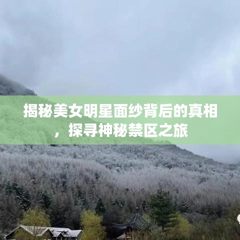 揭秘美女明星面紗背后的真相，探尋神秘禁區(qū)之旅